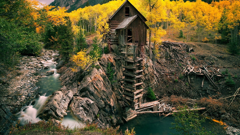 1080P, treehouses, Colorado, field, Pine Trees, Stream, Mill