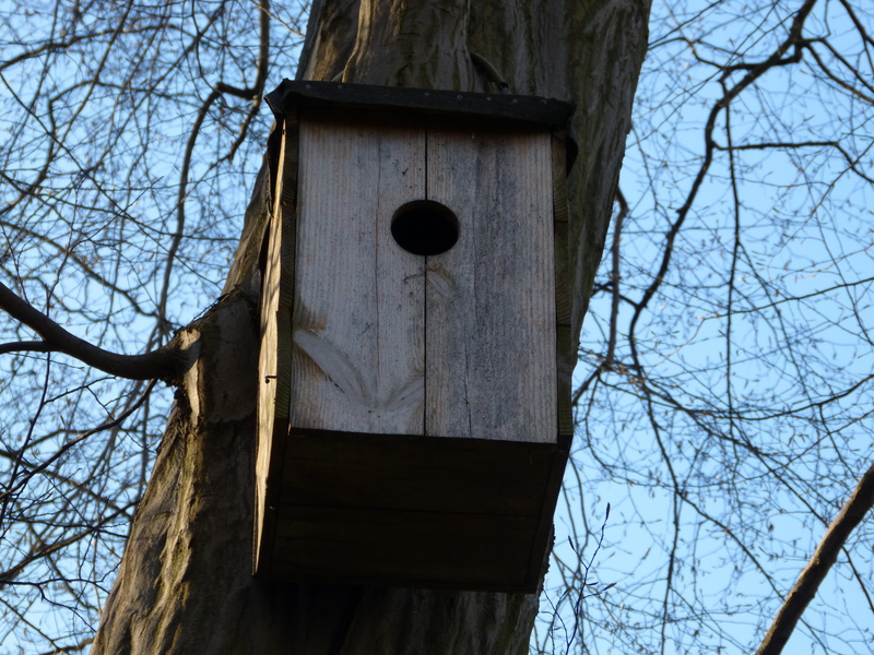 aviary, garden, bird, outdoors, tree trunk, wood - material, birdhouse, architecture, nesting box, treehouse, no people, trunk, low angle view, tranquility