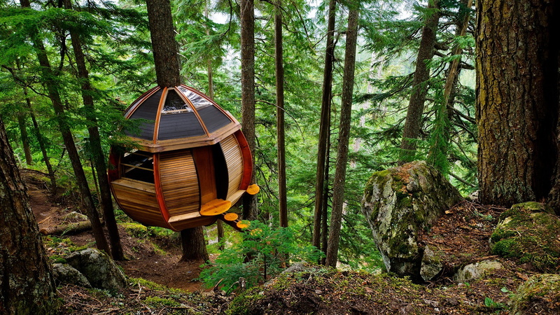 sphere, Stones, Trees, 1080P, Environment, rock, Treehouse, branch, architecture, moss, nature, forest, Dirt Road, wood, house