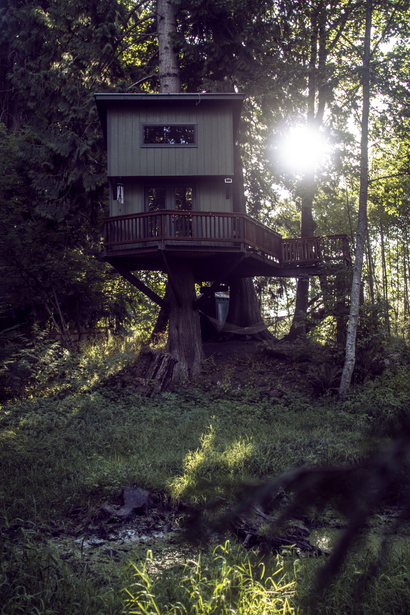 text, 5K, built structure, united states, land, sunbeam, wood, growth, treehouse, sun, outdoors, tiny home, small home, enchanted forest, house, tranquility