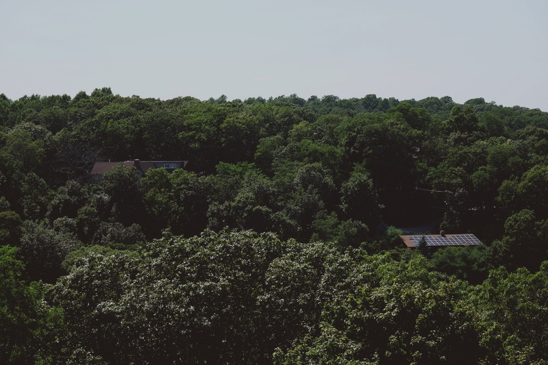 forest, day, lush foliage, alone, clear sky, land, 4K, cabin, scenics - nature, outdoors, sky, treehouse, no people, trees, non-urban scene, beauty in nature