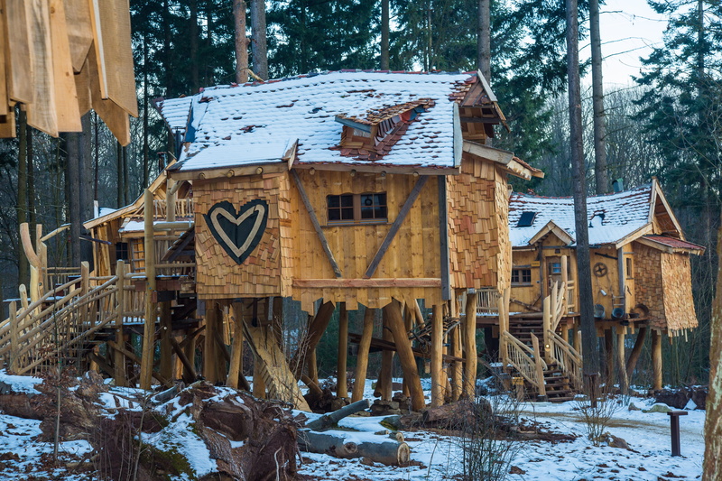 plant, Vacation, frozen, built structure, building exterior, Treehouse, outdoors, day, architecture, snow, wood - material, winter, no people, Tree Hut