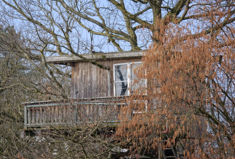damaged, house, ruined, hut, architecture, built structure, treehouse, deterioration, no people, home, plant, wood - material, day, accommodation, nature