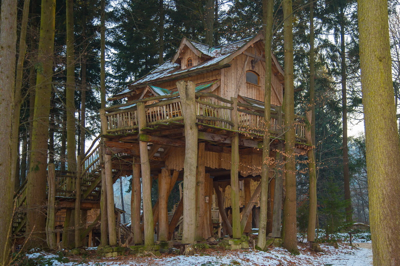 building exterior, field, day, land, outdoors, wood - material, non-urban scene, tranquility, vacation, house, nature, holiday, brown, woodland, low angle view