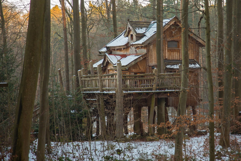 tree hut, house, building exterior, abandoned, day, tripsdrill, tree, building, growth, live, outdoors, treehouse, land, trunk, plant, architecture, built structure
