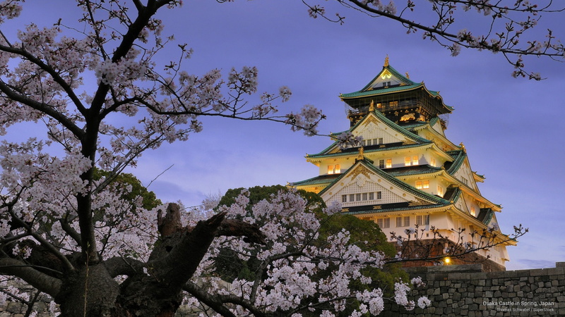 spring, Architecture, castle, japan, 2K, osaka