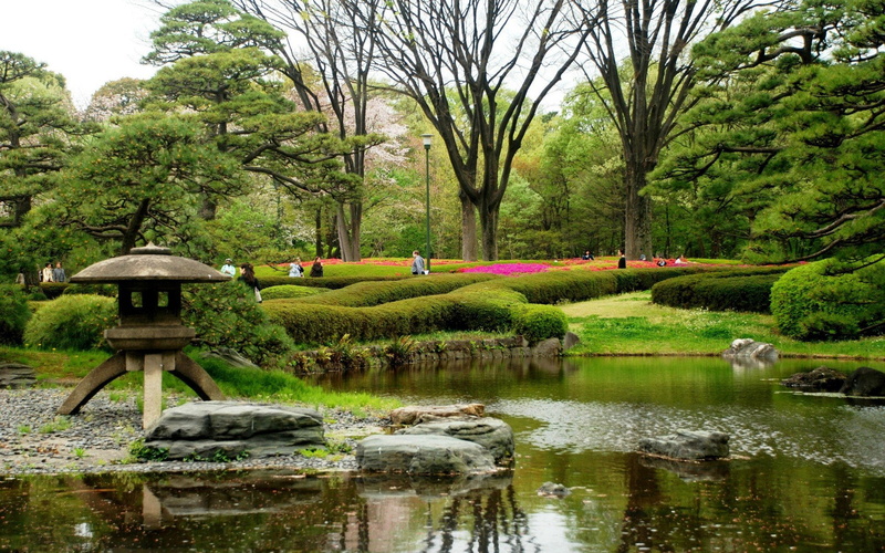 water, spring, japan, japanese, 1080P, gardens, trees, flowers
