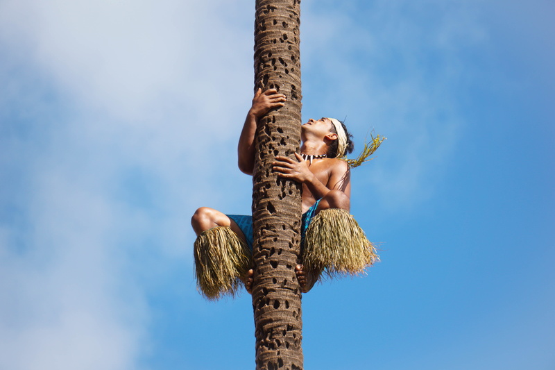 5K, wood - material, man, palm tree, human body part, effort, blue, copy space, Coconuts, photo, hand, tree trunk, sky, men, semi-dress, cloud - sky, two people