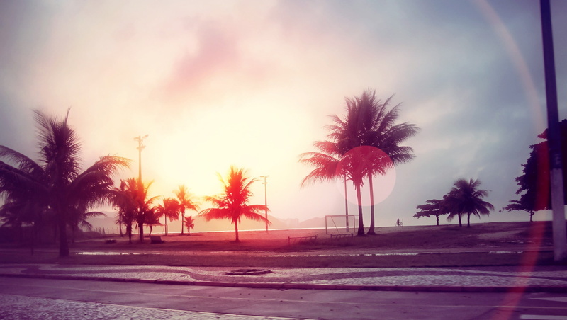 2K, sun, silhouette, sky, beach, tranquil scene, coconut, travel Destinations, city, tourist Resort, street, sunlight, plant, coconut Palm Tree, green