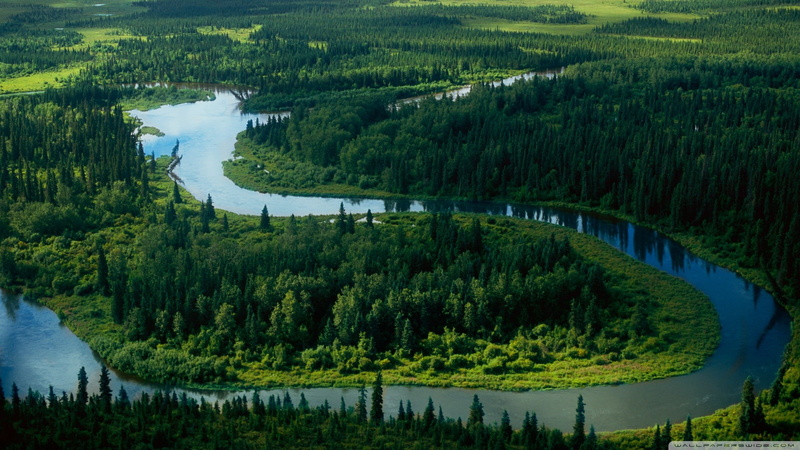 1080P, forest, landscape, river, aerial view, Turkey