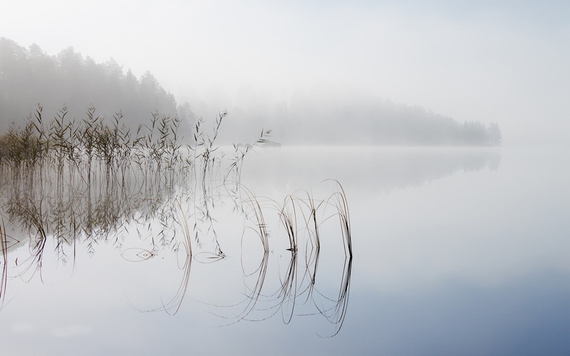 clear, scenics - nature, tranquility, water, nature, body, fog, hd, no people, sky, outdoors, reflection, retina, idyllic, plant, reflection lake, tree