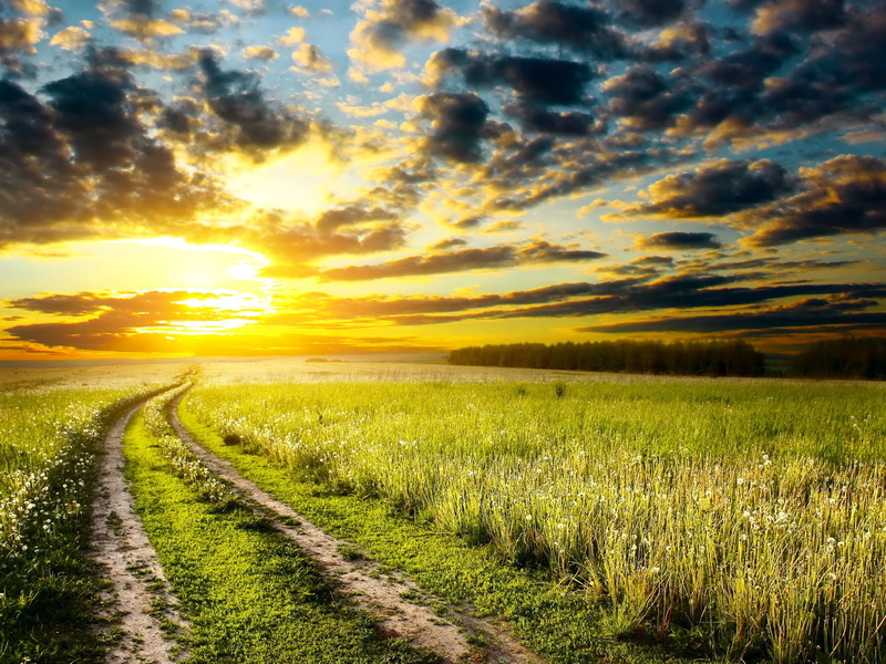 wide, Clouds, Sunrise, Grass, Meadow, Sky, Summer, Road, Early, 1080P, field