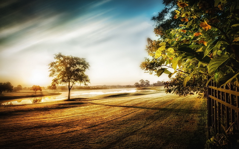 Trees, Morning, Fog, Grass, 2K, Fence, River, Light