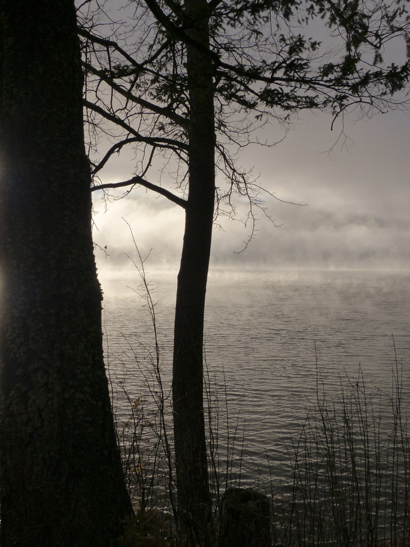 reflections, mood, tranquil scene, weather, tranquility, non-urban scene, scenery, clouds, land, outdoor, silhouette, sky, branch, fog, sunrise, trunk