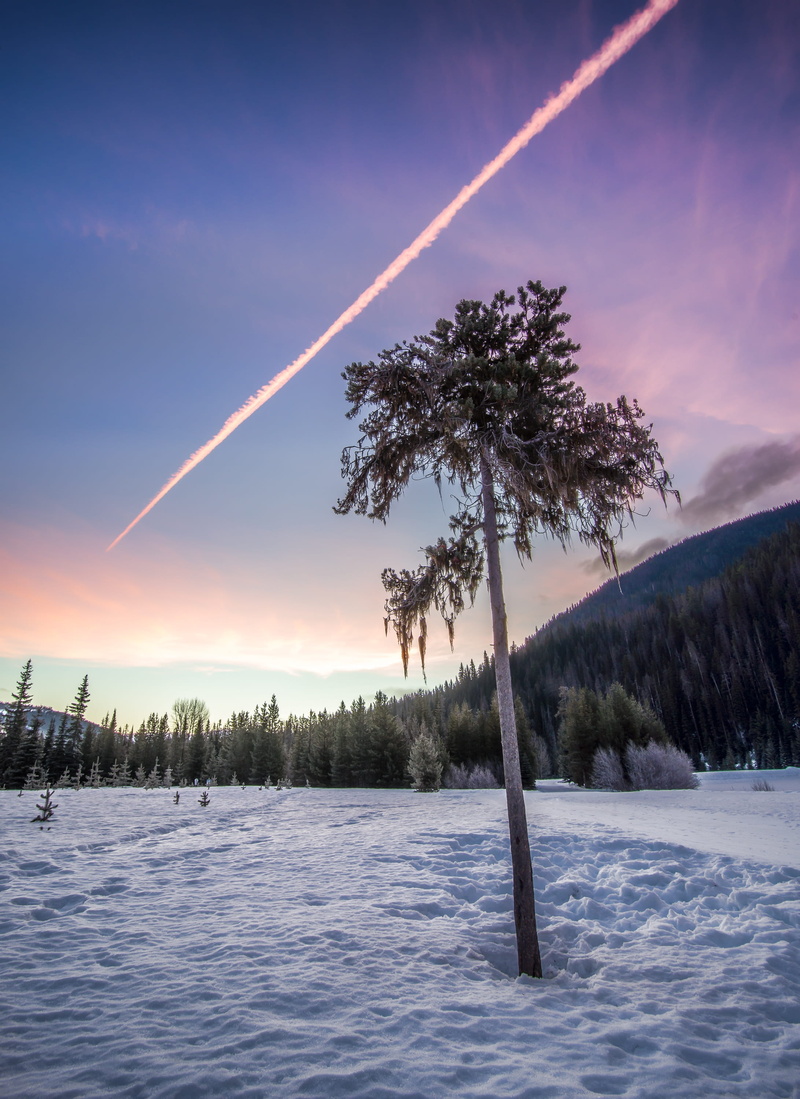 white, field, wilderness, canada, travel, vapor trail, dynamic, british columbia, environment, skies, nature, cloud - sky, non-urban scene, clouds, manning park