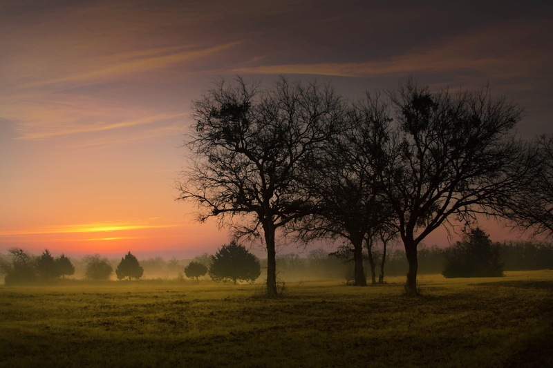 summer, early, landscape, sky, dusk, non-Urban Scene, scenics - nature, outdoors, sunset, morning, silhouette, sunrise - Dawn, withered, field, environment