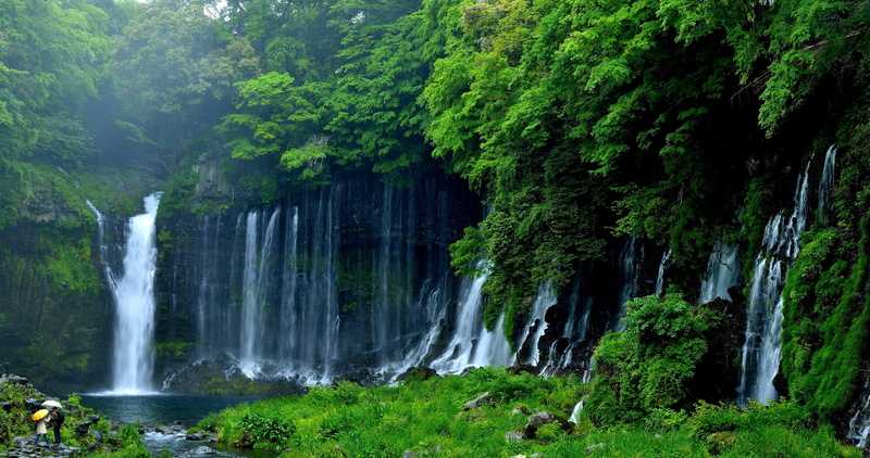 nature, splashing, flowing water, Japan, waterfall, trees, no people, outdoors, long exposure, green color, motion, Fujinomiya, scenics - nature, plant