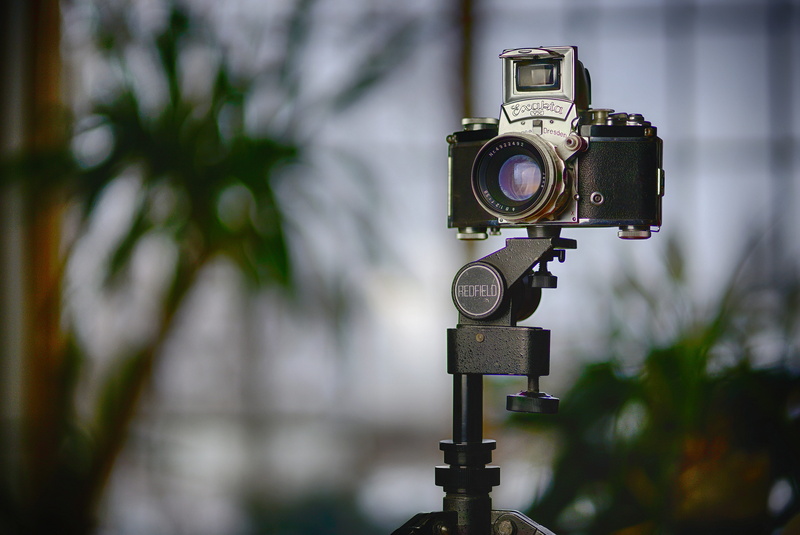 photography, 50mm, gray, biotar, photography themes, legacy, tripod, tree, technology, black, single, old, vintage, lifestyle, fashion, single object, outdoors