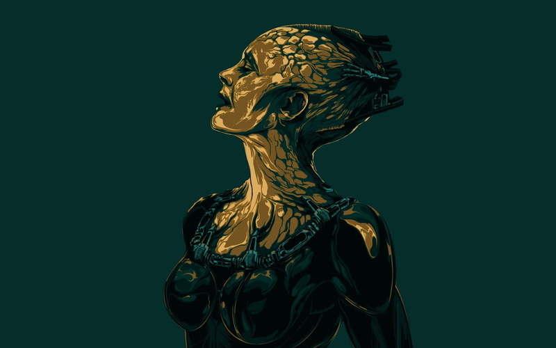 borg, 1080P, star, queen, trek