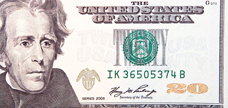 adult, portrait, currency, financial, business, corporate business, close, bill, investment, people, wages, money, close-up, up, objects, dollar sign, banking