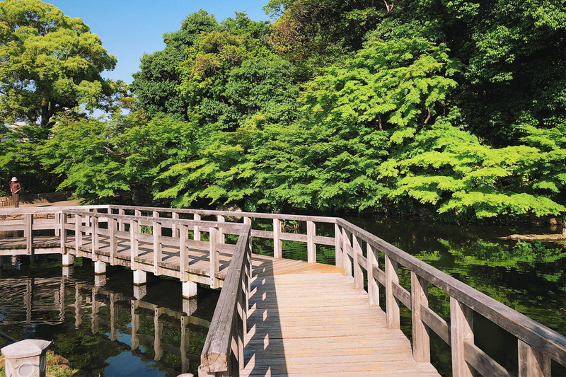 bridge, built structure, connection, day, garden, lush foliage, outdoors, nagoya-shi, architecture, no people, walkway, foliage, growth, japan, railing