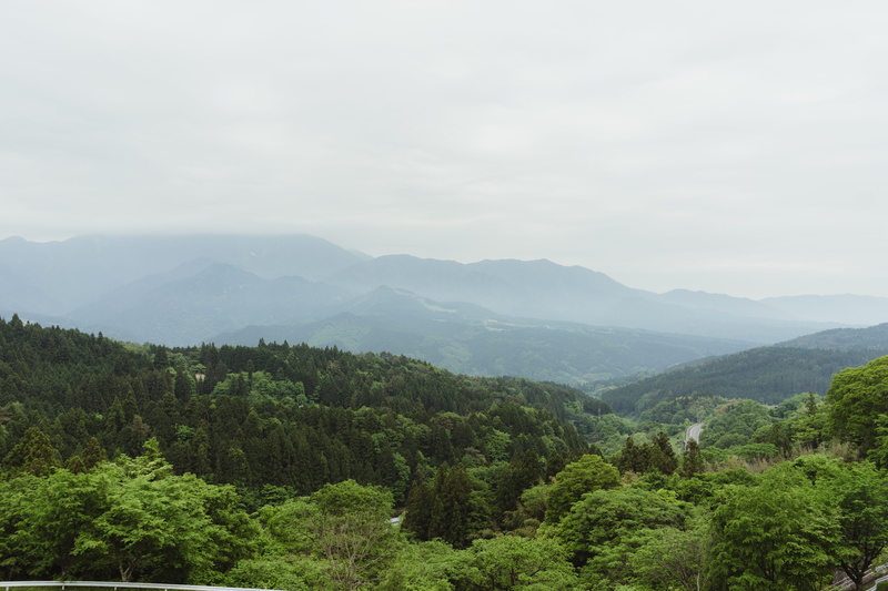 mountain peak, sky, scenics - nature, japan, tranquil scene, environment, foliage, non-urban scene, 5K, plant, growth, landscape, green color, tree, tranquility