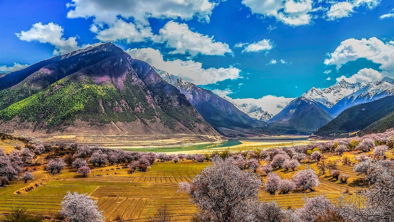 environment, mountain range, yarlung tsangpo grand canyon, tibet, no people, tsangpo canyon, yarlung tsangpo river, canyon, non-urban scene, scenics - nature