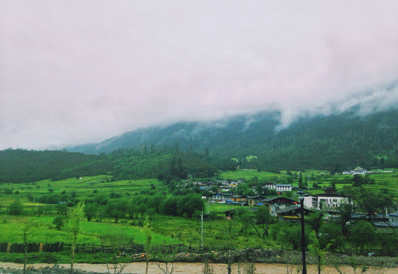 architecture, plant, prairie, building, nature, green color, mountain, scenics - nature, tranquil scene, landscape, environment, building exterior, nyingchi