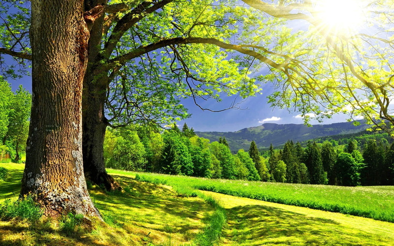 nice, rays, hills, 2K, golden, grass, sun, meadow, beautiful, mountain, clear, dazzling, greenery, sunny, lovely, bright