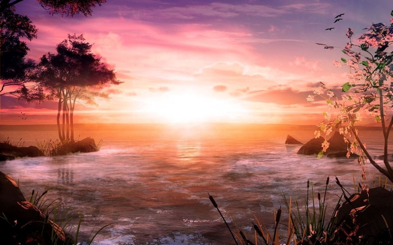 trees, summer, seascape, red, forest, sunset, thailand, sea, tree, plant, morning, tranquil Scene, travel, no People, scenics - nature, mountain, black