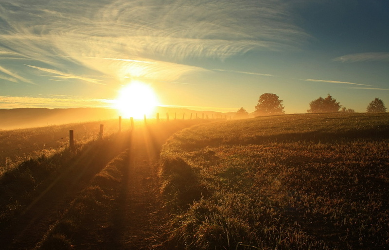 expensive, light, sun, dazzle, country, fence, 1080P