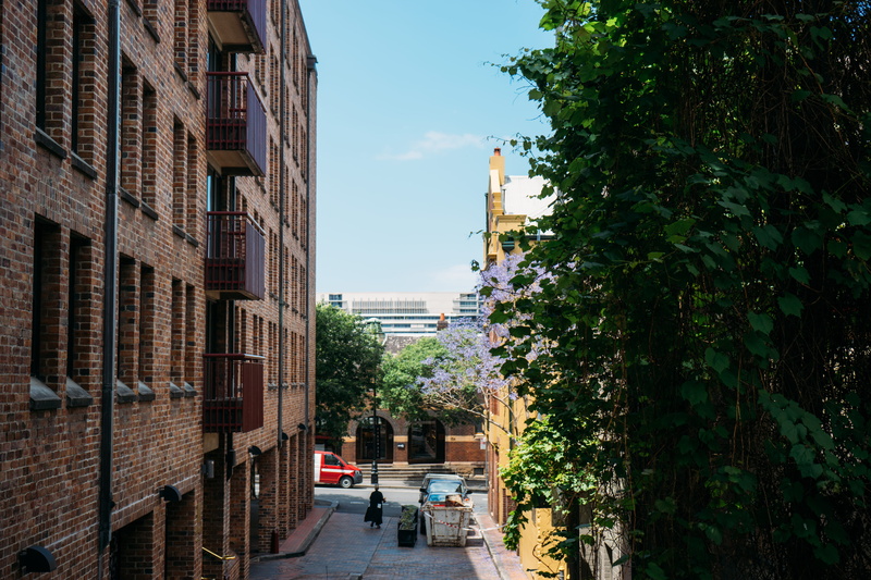 the rock, residential district, outdoors, urban, mode of transportation, building, jacaranda trees, city life, motor vehicle, buildings, built structure
