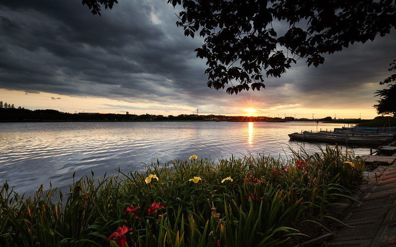 non-urban scene, hd, tree, shi, saitama, tranquility, lake, dark, sunset, sky, idyllic, river, outdoors, scenics - nature, plant, landscape, 5K, clouds