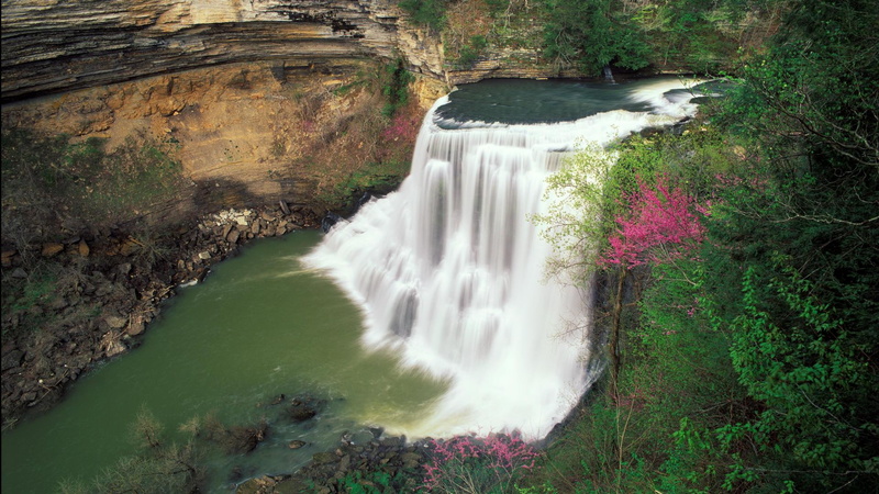 early-spring, leaved, green, burgess, 3d and abstract, falls, picture, water, cool, pink, body, trees, burgess-falls, 1080P, tennessee