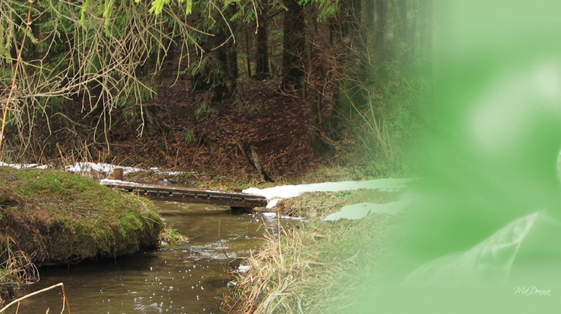 creek, 1080P, stream, forest, brook, spring, 3d and abstract, rivulet, early, woods, snow