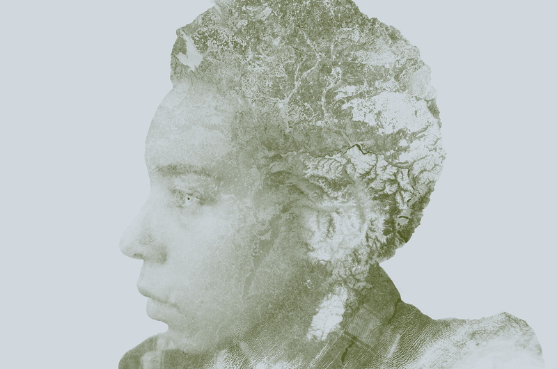flowers, Photoshop, stones, 4K, plants, photography, face, purple, double exposure, nature