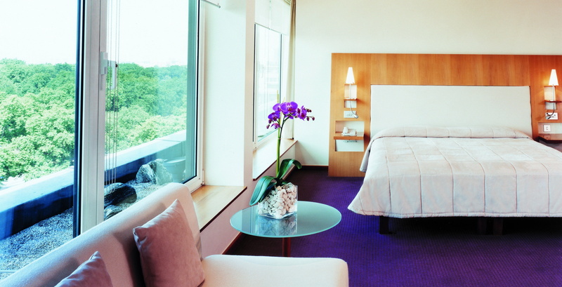 flowering plant, domestic Life, nature, electric Lamp, flower, hotel Room, chair, wood - Material, cushion, headboard, carpet - Decor, hand, hotel Suite