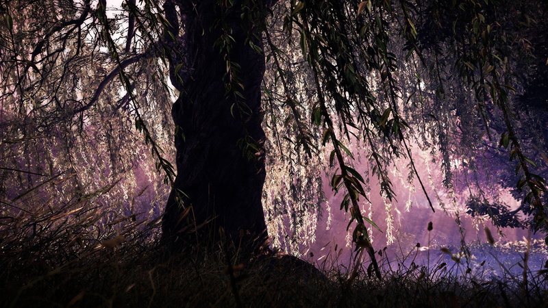 black, idyllic, tranquil scene, non-urban scene, Shadow Warrior 2, growth, bark, scenics - nature, calm, 4K, relaxing, trunk, tree trunk, video games