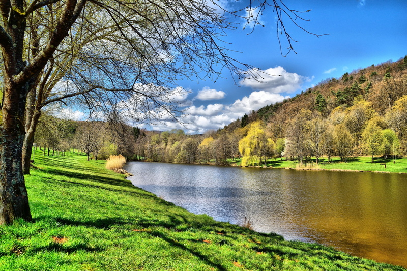 5K, park, grass, tranquility, outdoors, nature, panorama, tranquil scene, silzer lake, mountain, chill out, lake, reflection, silz, landscape, idyllic