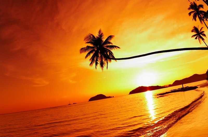 romantic sky, palm, tranquil Scene, travel Destinations, water, tree, silhouette, palm trees, yellow, tranquility, tourist Resort, beach, no People, landscape