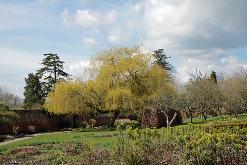 outdoors, green, weeping, english, garden, summer, non-urban scene, cloud - sky, flowers, tranquil scene, grass, tourism, sunny, nature, tree, growth, tranquility