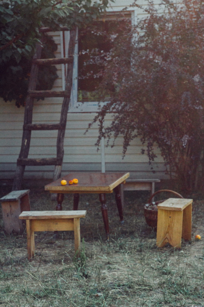 ukraine, land, stairs, table, field, киев, food and drink, chair, nature, wood - material, plant, kyiv, day, summer cottage, seat, no people, built structure
