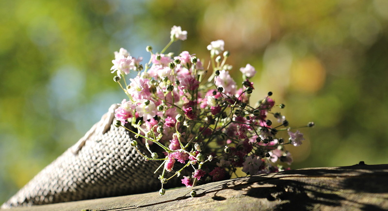 tender, bag gypsofilia seeds, selective focus, rose, vulnerability, love, springtime, white flowers, greeting, lichtspiel, selective, purple, background