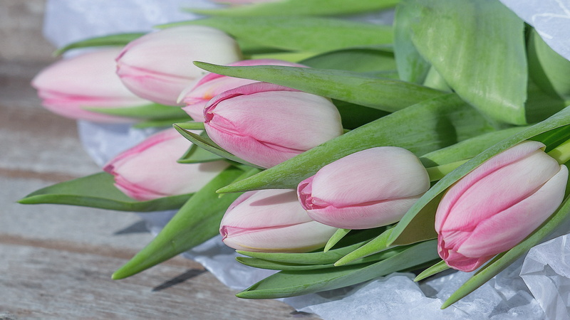 flower, easter, vulnerability, pink flowers, bouquet, frühlingsanfang, petal, plant part, surface, wrapped up, wooden, inflorescence, flowers, flower arrangement