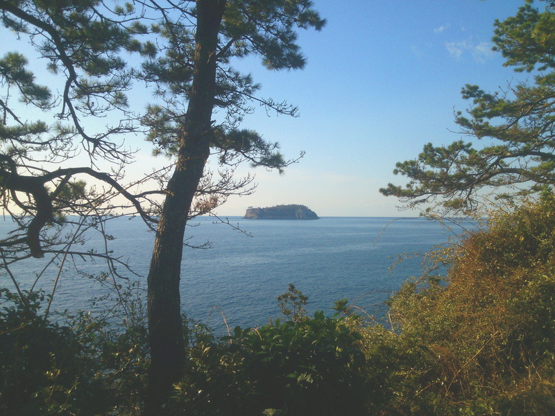 day, non-urban scene, branch, scenics - nature, nature, beauty in nature, sky, island, tranquil scene, land, water, Jeju Island, photography, plant, sea