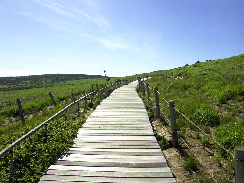 land, sky, scenics - nature, mountain trail, diminishing perspective, environment, footpath, long, tranquil scene, railing, plant, day, tranquility, nature