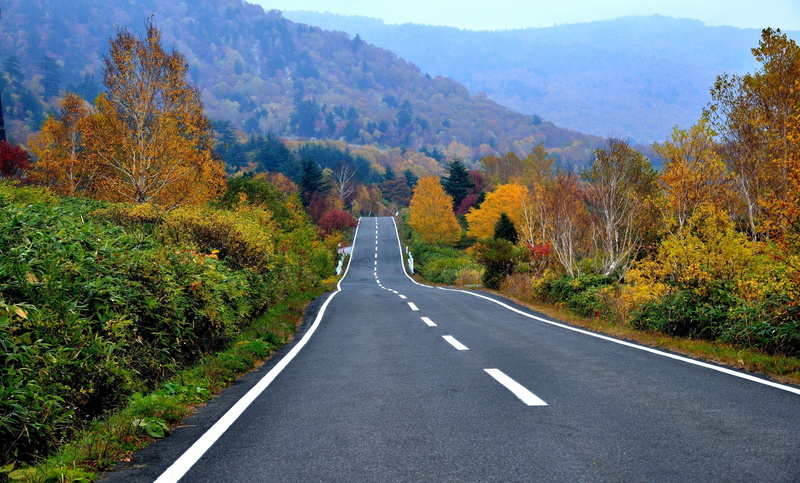 2K, road, red leaves, landscape, fall, hills