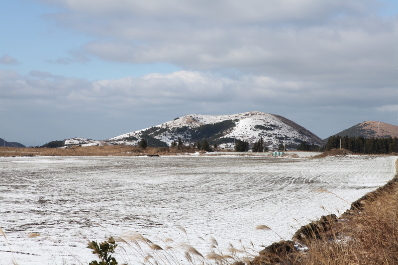 jeju, halla, cloud - sky, 5K, nature, beauty in nature, snow flower, landscape, ascension, ranch, mountain, snow, no people, land, republic of korea, winter