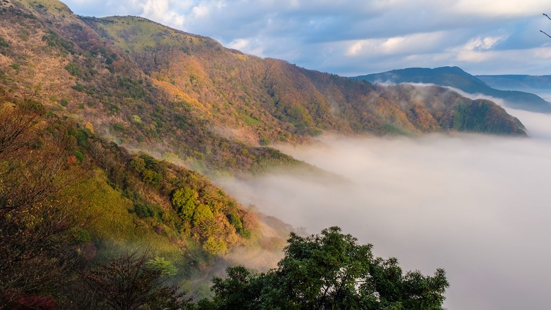 arboretum, sky, forest, no people, plant, mountain range, autumn, scenics - nature, aso, non-urban scene, 4K, sea, white, idyllic, cloud - sky, kumamoto