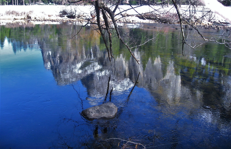 yosemite, river, beauty in nature, waterfront, plant, 2K, sky, reflection, tree, growth, idyllic, outdoors, branch, day, united states of america, snowmelt